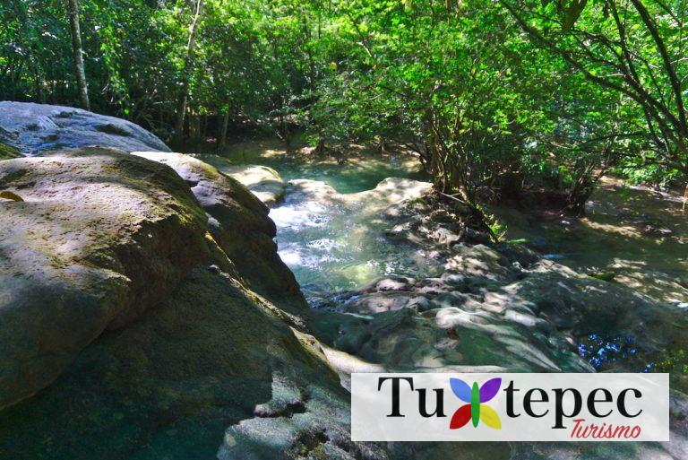 Selva de la Chinantla