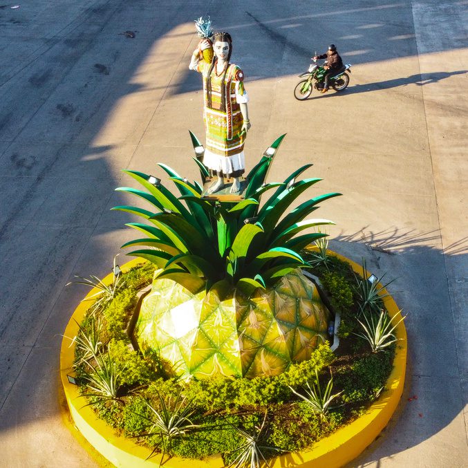 Monumento a Flor de Piña