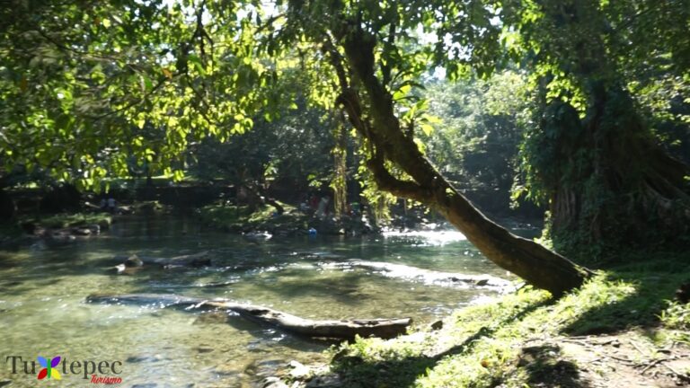 Monte Flor
